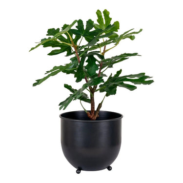 Ficus kunstboom - groen - 60 cm