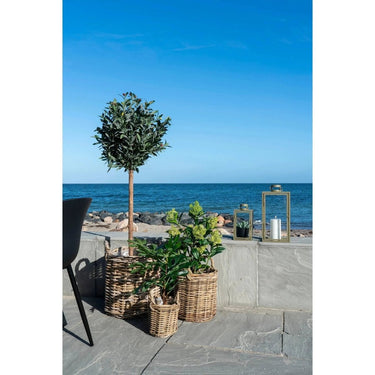 Ficus kunstboom - groen - 60 cm