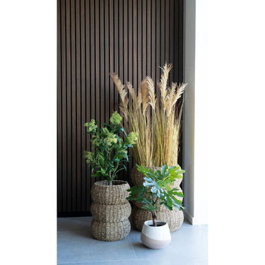 Ficus kunstboom - groen - 60 cm