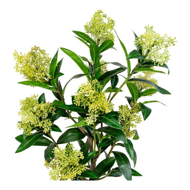Skimmia kunstboom - groen - 75 cm