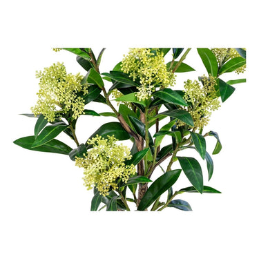 Skimmia kunstboom - groen - 75 cm