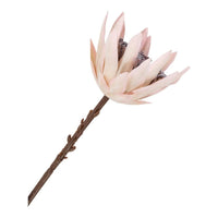 House of Nordic King Protea boeket kunstbloemen - bordeaux - 65 cm - Mooier Thuis