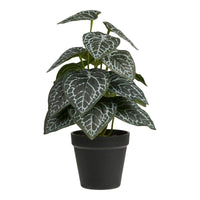 Groenplant kunstplant - groen - 33 cm - Mooier Thuis