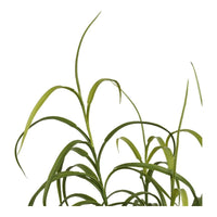House of Nordic Siergras kunstplant - groen - 89 cm - Mooier Thuis