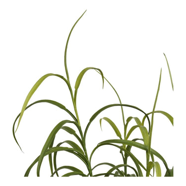Siergras kunstplant - groen - 89 cm