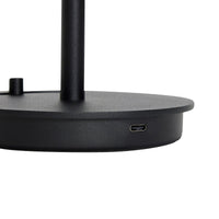 Zwarte draagbare salonlamp - afbeelding 2