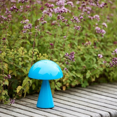 Mush draagbare blauwe lamp