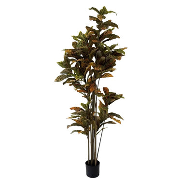 Ficus Deluxe kunstplant 180 cm