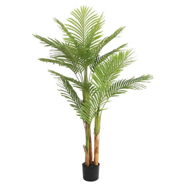 Kentia palm kunstplant 170 cm