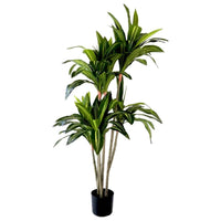 Kunstplant Dracaena Fragnans 150 cm - Mooier Thuis