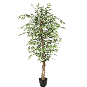 Künstliche Ficuspflanze, grün, 160 cm