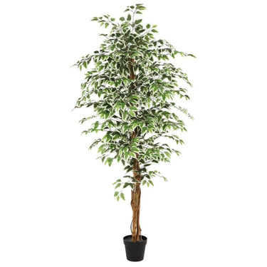 Kunstplant Ficus groen 180 cm