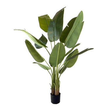 Kunstplant Strelitzia 150 cm - Real Touch