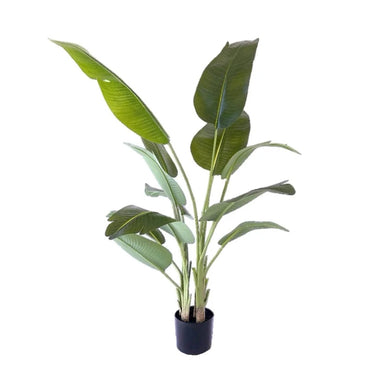 Kunstplant Strelitzia 180 cm