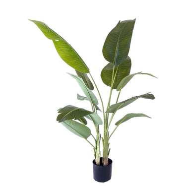 Kunstplant Strelitzia 200 cm - Real Touch