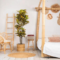 NeverLeafs Ficus Deluxe kunstplant 180 cm
