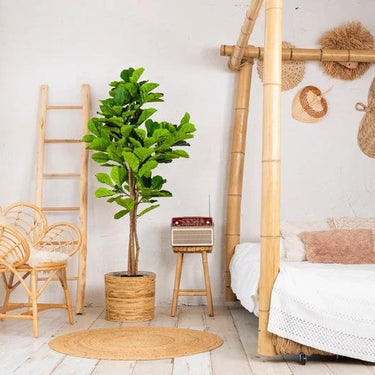 Vioolbladplant kunstplant 160 cm