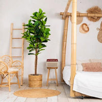 NeverLeafs Vioolbladplant kunstplant 185 cm