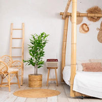 NeverLeafs Eucalyptus kunstplant Deluxe 140 cm - Mooier Thuis