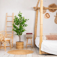 NeverLeafs Eucalyptus kunstplant Deluxe 160 cm