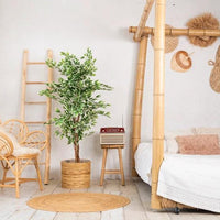 NeverLeafs Kunstplant Ficus groen 140 cm