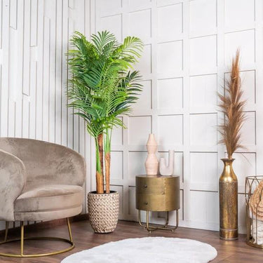 Kentia palm kunstplant 170 cm