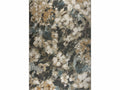 Aster 1219