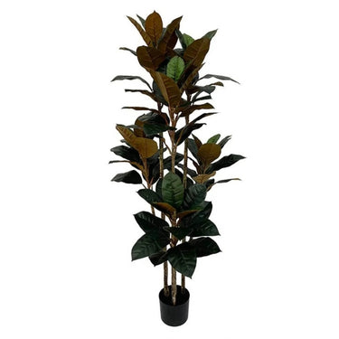 Rubberplant kunstplant 160 cm - met 3 stammen