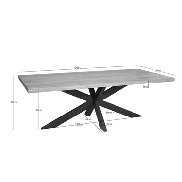 Afmetingen Rechthoekige eettafel Dakota naturel - 300 cm