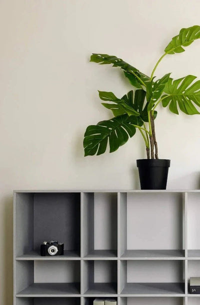 Vakkenkast met 24 open vakken - lichtgrijs