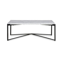 Saxon Salontafel Carrara Marmer Wit 122x71 cm