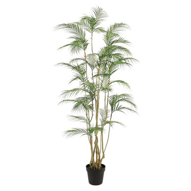 Tropische Areca palm kunstplant 180 cm