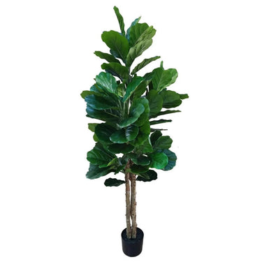Vioolbladplant kunstplant 160 cm