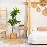 NeverLeafs Kunstplant Dracaena Fragnans 150 cm