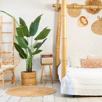 NeverLeafs Kunstplant Strelitzia 150 cm - Real Touch - Mooier Thuis