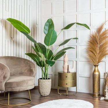 Kunstplant Strelitzia 200 cm - Real Touch