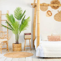 NeverLeafs Kunstplant Palm Phoenix 160 cm