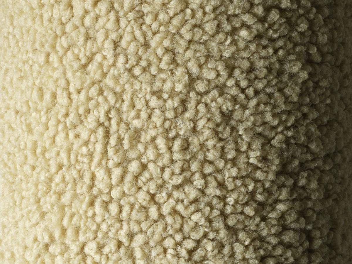 Teddy van dichtbij — Wigiwama Kussen Matcha