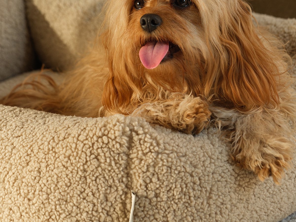 De Wigiwama Pet Snuggle Bed hondenmand Beige - M