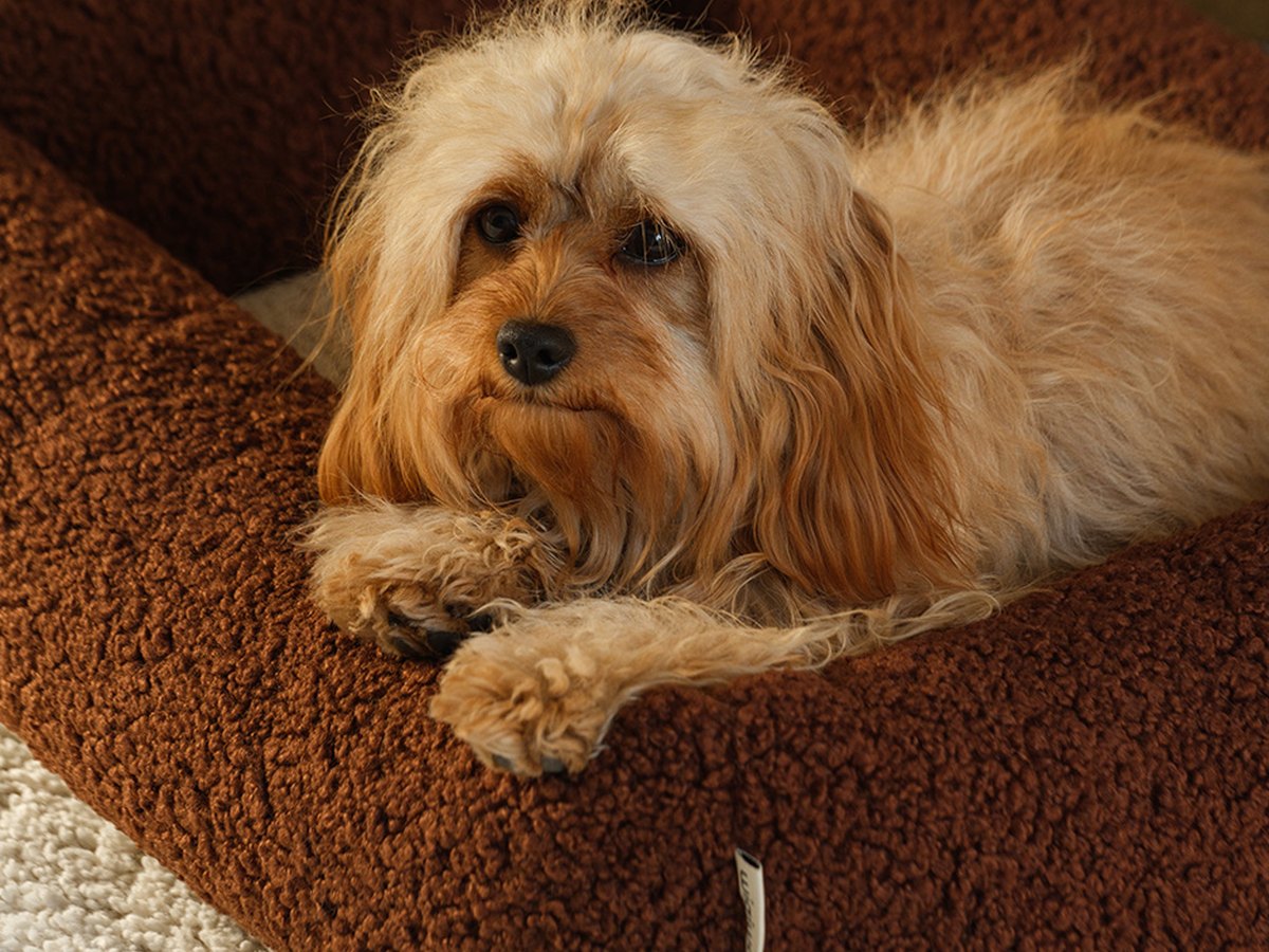 De Wigiwama Pet Snuggle Bed hondenmand Brown - M