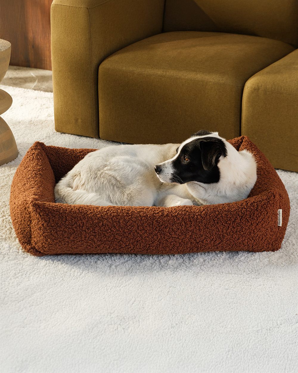 Wigiwama Dog Pillow - Pet Snuggle Bed Brown - L in een kinderkamer