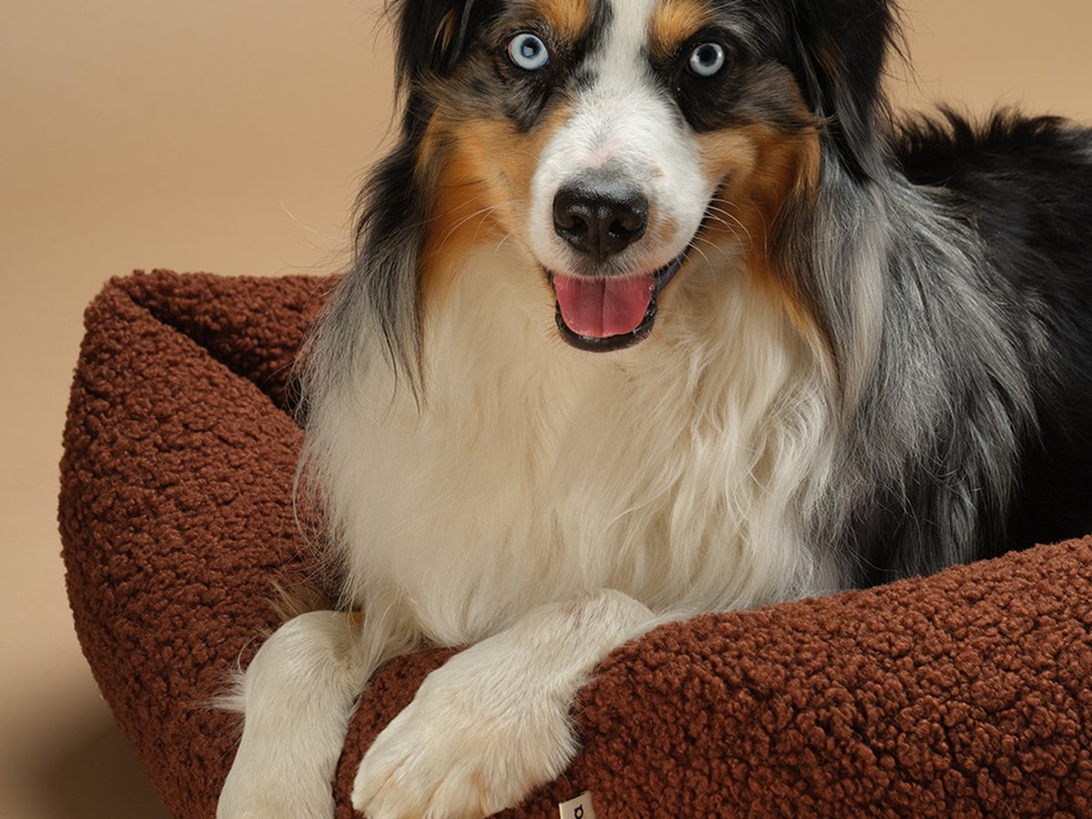 Kenmerken Wigiwama Dog Pillow - Pet Snuggle Bed Brown - L