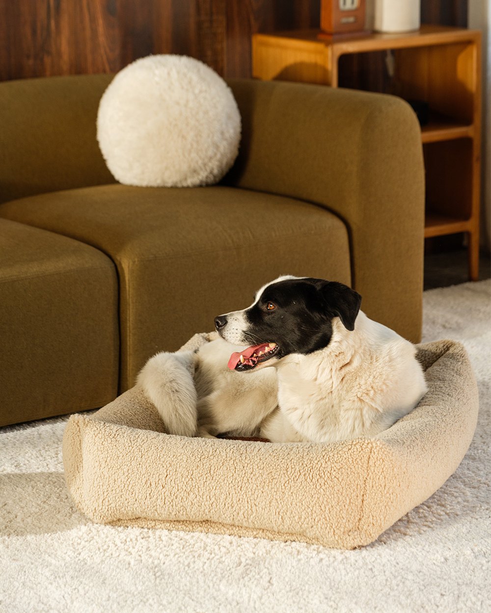 Wigiwama Dog Pillow - Pet Snuggle Bed Beige - L in een kinderkamer