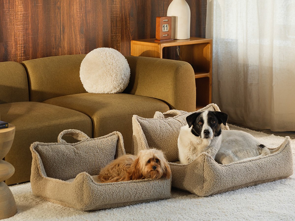 De Wigiwama Pet Club Chair hondenmand Beige - L