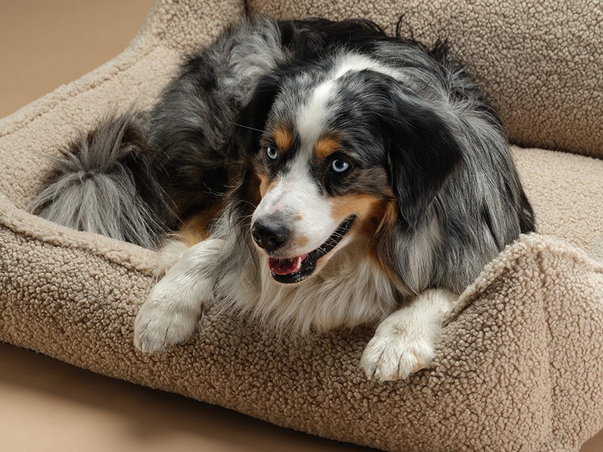 Kenmerken Wigiwama Dog Bed - Pet Club Chair Beige - L